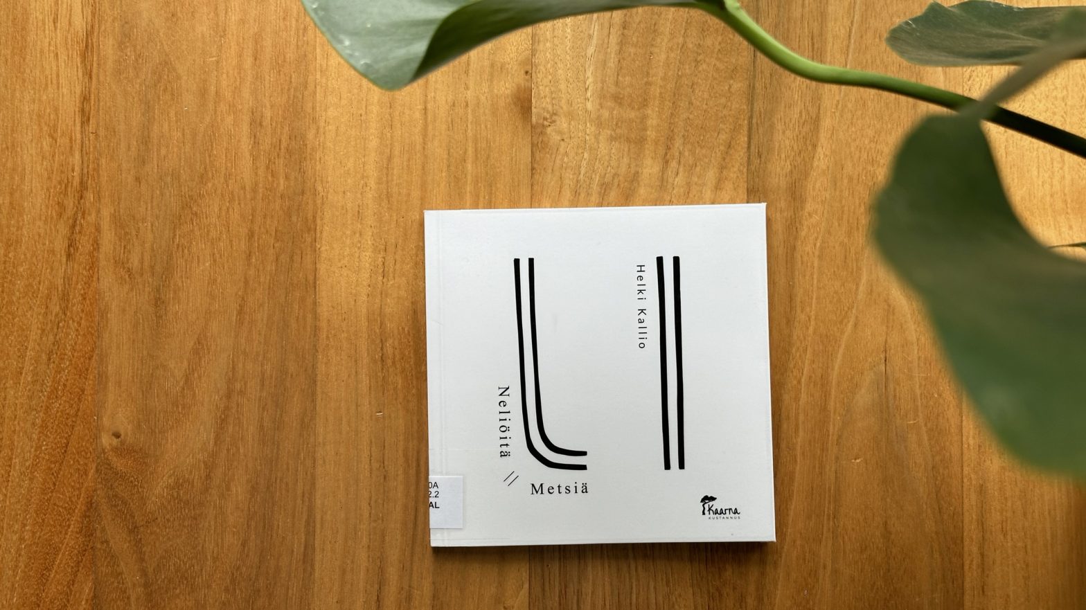 Neliöitä ı ı Metsiä